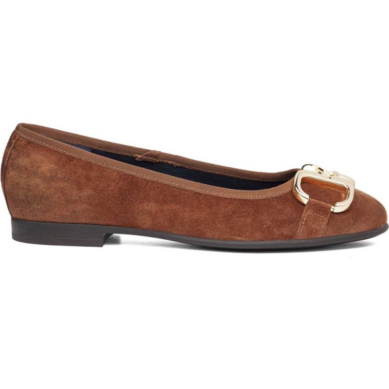 Ballerine CallagHan Priscila Marron Femme | ZGA-2947288